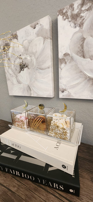 Moon and Sun Dessert Containers